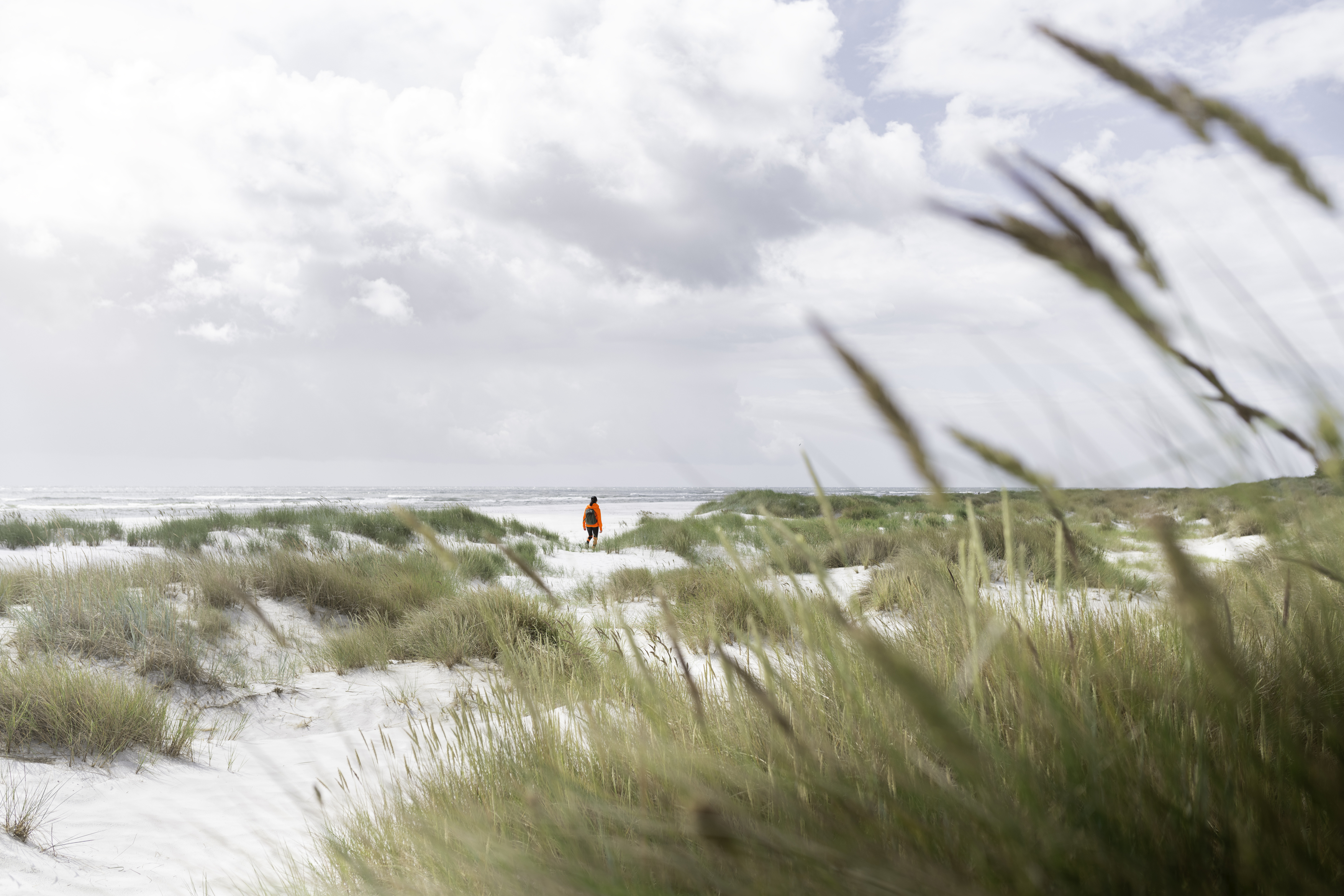 Dueodde-Vandring-AI-mennesker-indsat-Kan-ikke-bruges-i-storformat-27253708-Foto_Stefan_Asp.jpg